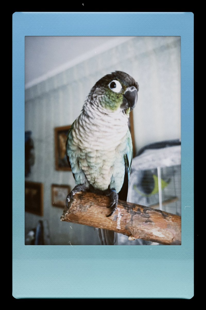 Valor in cinematic/ in real life