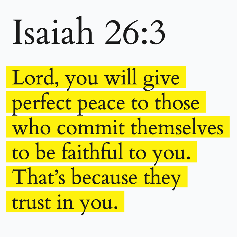 Holy Bible tweet media