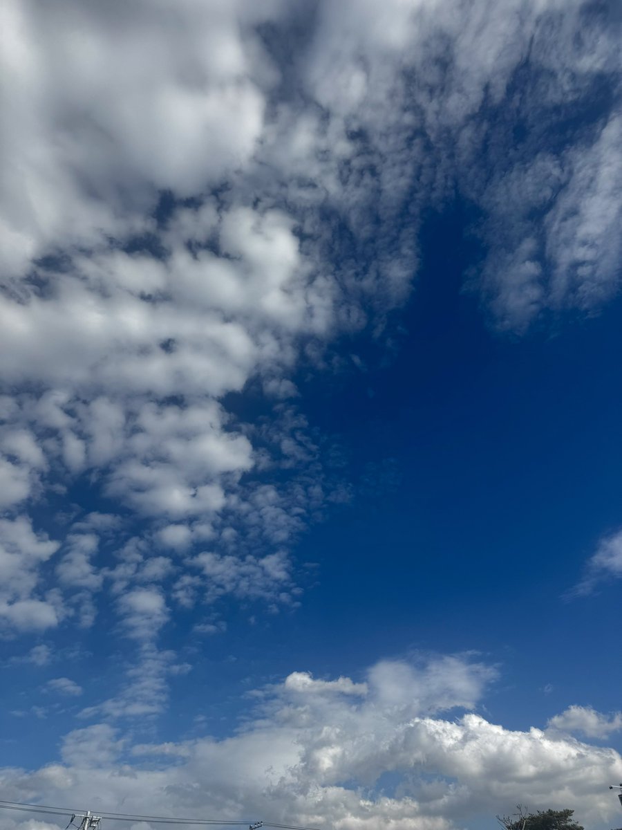 キャサリン (@Xi7ySXjpj2EYGAU) / Posts / X