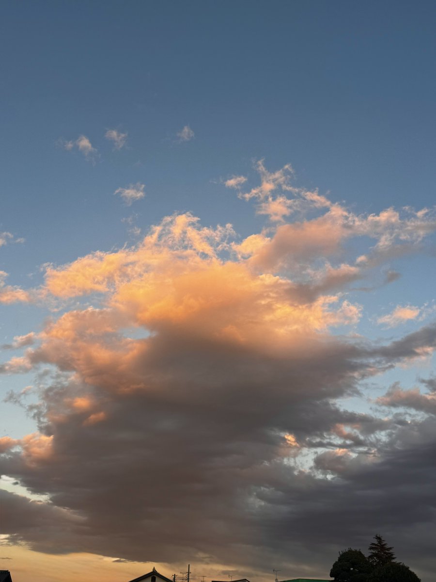 キャサリンページ キャサリン (@Xi7ySXjpj2EYGAU) / Posts / X