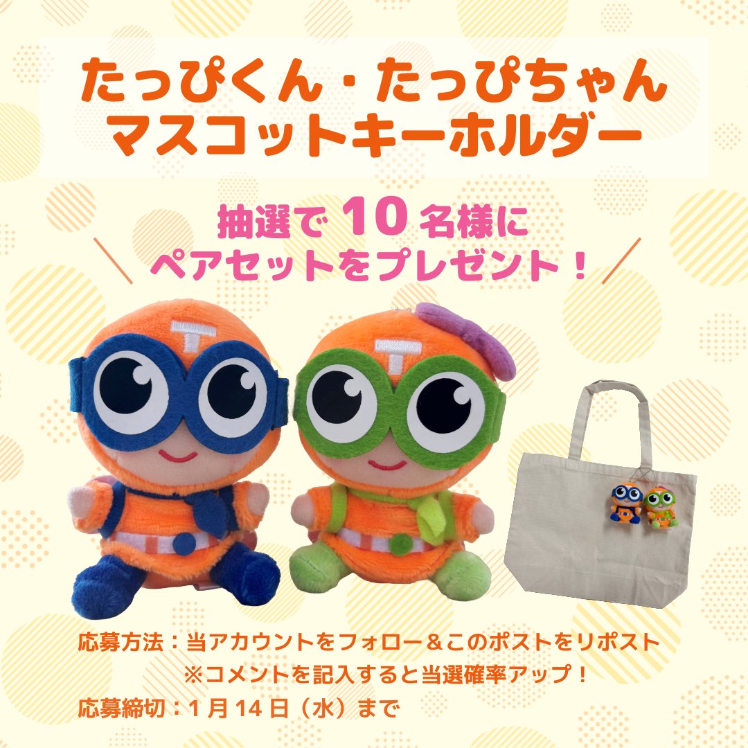 TACHIHI【公式】 (@tappi_tachihi) / Posts / X