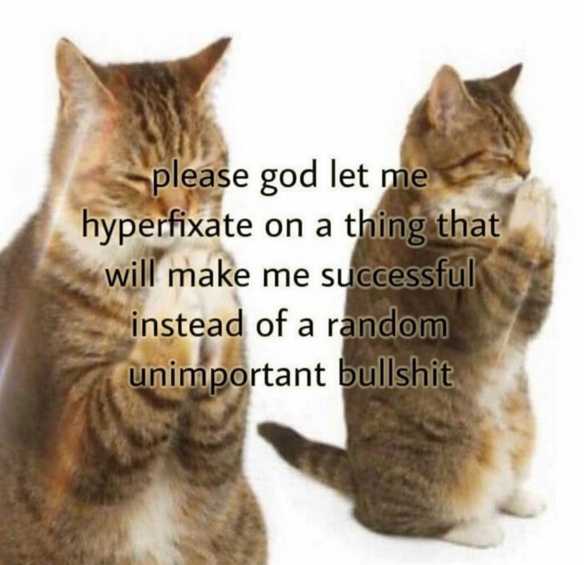 RespectfulMemes's tweet image. 