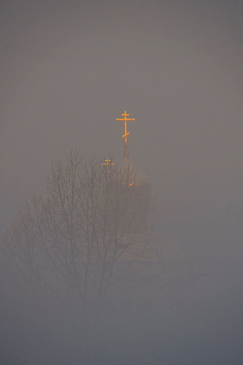 Игорь (@igor92532135505) on Twitter photo 