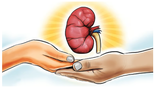 Premji Foundation to set up Rs 1,000-crore hospital for organ transplant in Bengaluru

soundnlight.in/premji-foundat…

#SLSV #SLSVIndia #PremjiFoundation #HealthcareInitiative #OrganTransplant #Bengaluru #HealthcareInfrastructure #Philanthropy #NonProfit #PublicHealth <a href="/azimpremjiuniv/">Azim Premji University</a>