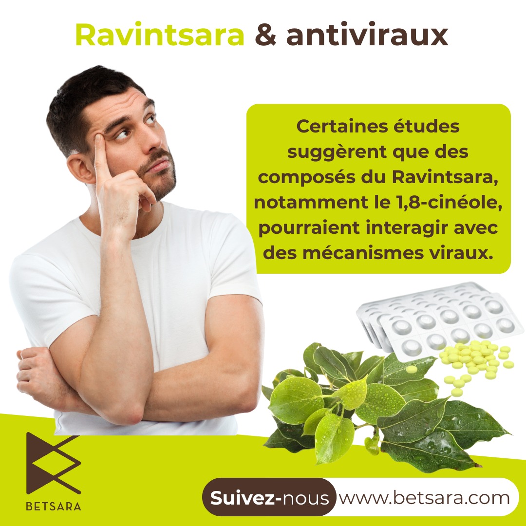 Le Saviez-vous?
Des études suggèrent que des composées du Ravintsara pourraient intéragir avec des mécanismes viraux.

Apprenez en plus sur le Ravintsara, suivez-nous sur les réseaux ou sur betsara.com
#Ravintsara #antiviraux #systèmeimmunitaire