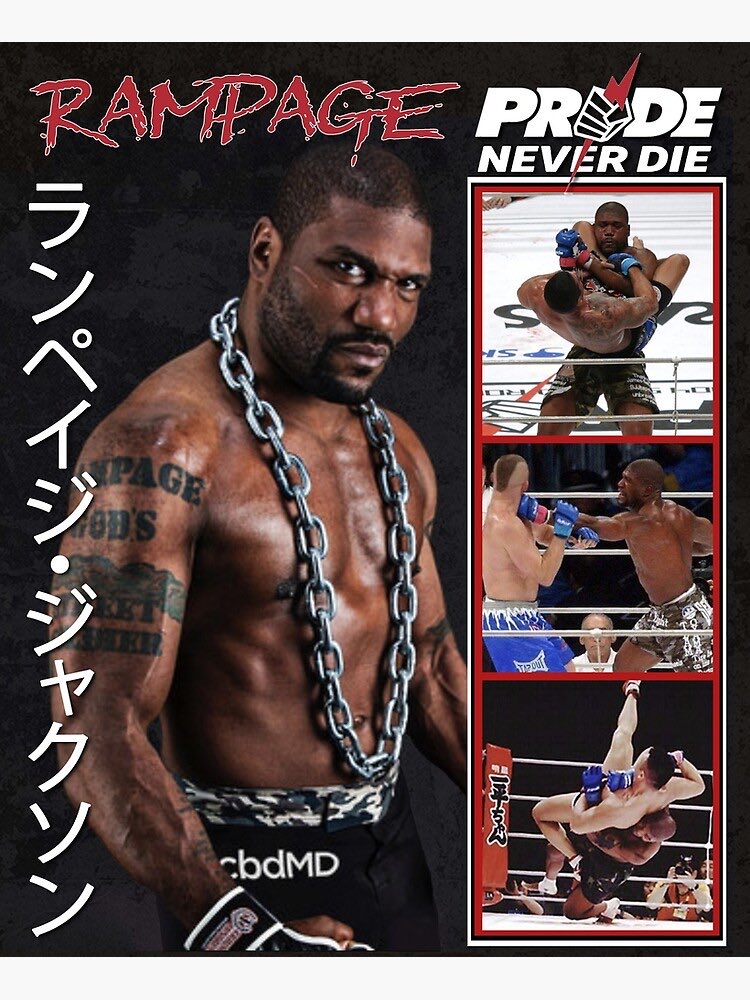 blackcat tweet media