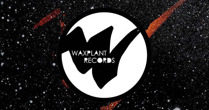 waxplantrecords's tweet image. waxplantrecords.com

@rgtaylornet  @fiendish2020 

#waxplantrecords🪴🎶