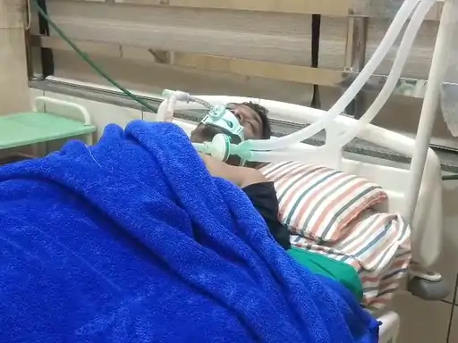 Stray cattle menace: 28-year-old biker dies in Navsari; five injured in Ankleshwar