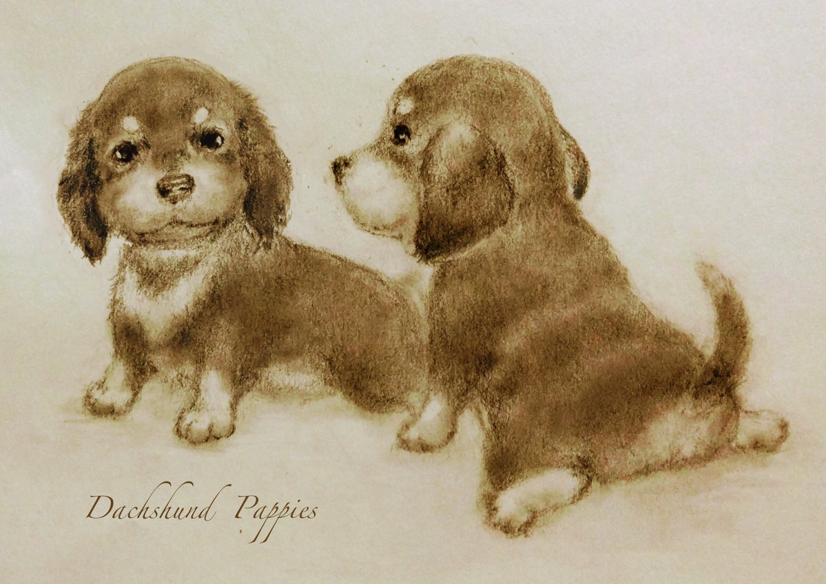 わんわんスケッチ✏ #わんこ絵🐶🐶 かいきゃく｡｡｡ U(*'ω'*)U🌻