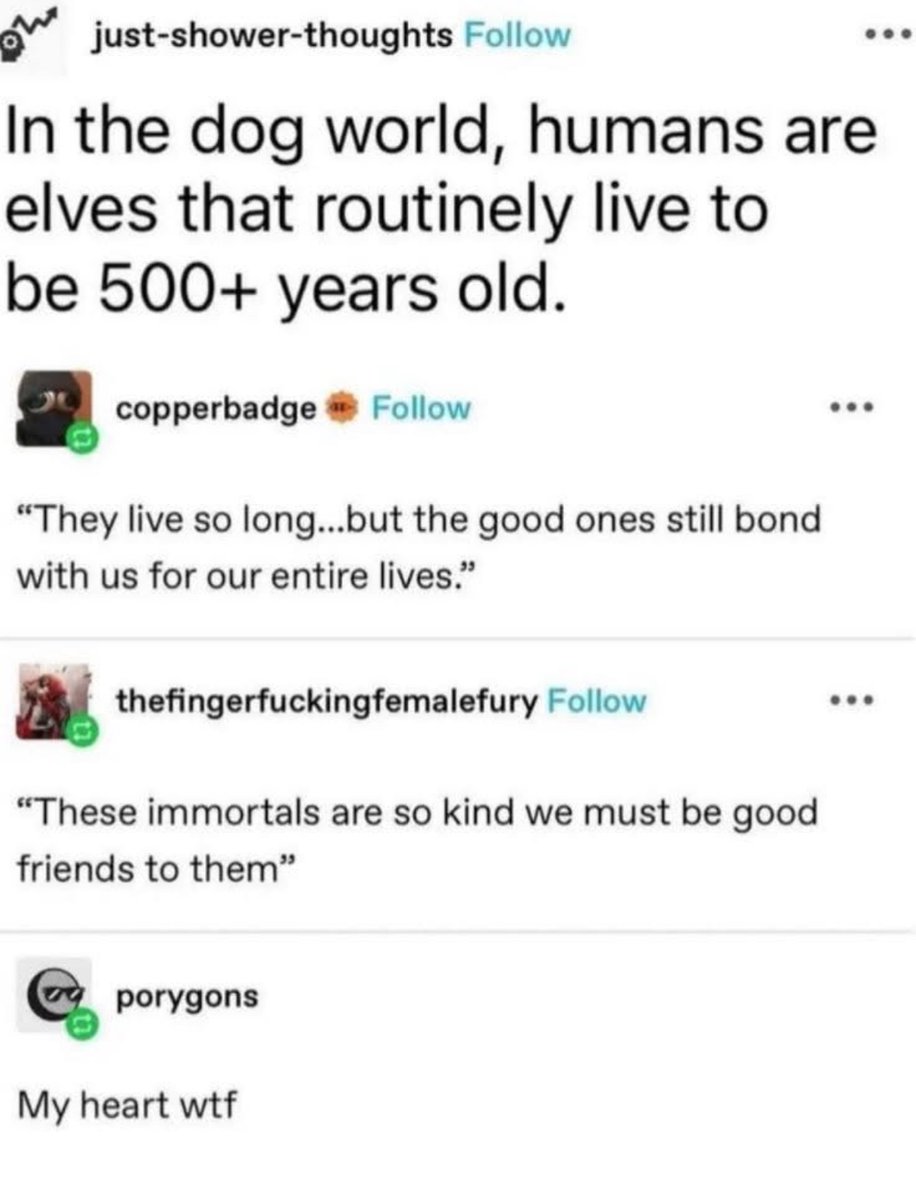 RespectfulMemes's tweet image. 