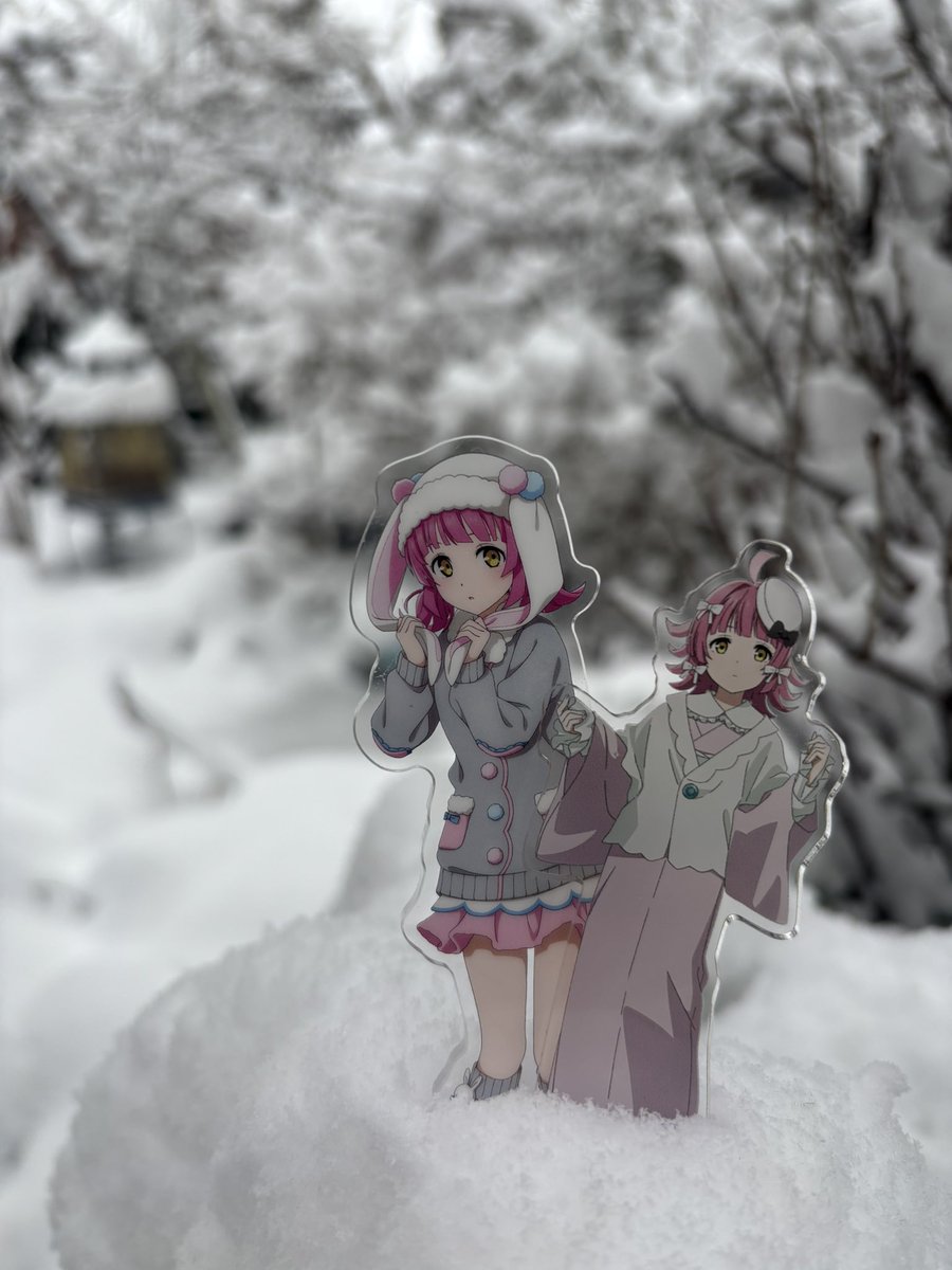 rinarineso's tweet photo. Rina in the snow❄️❄️❄️⛄️ https://t.co/zKq6iJktas