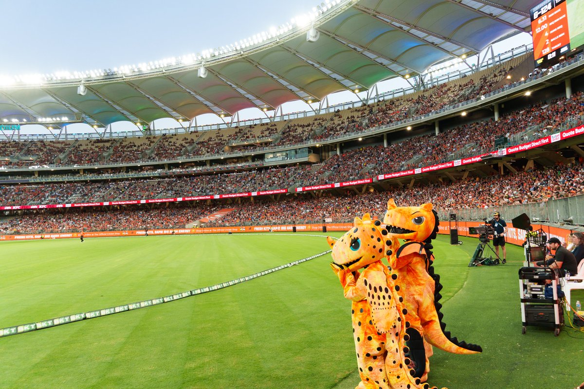 John Stephenson tweet media