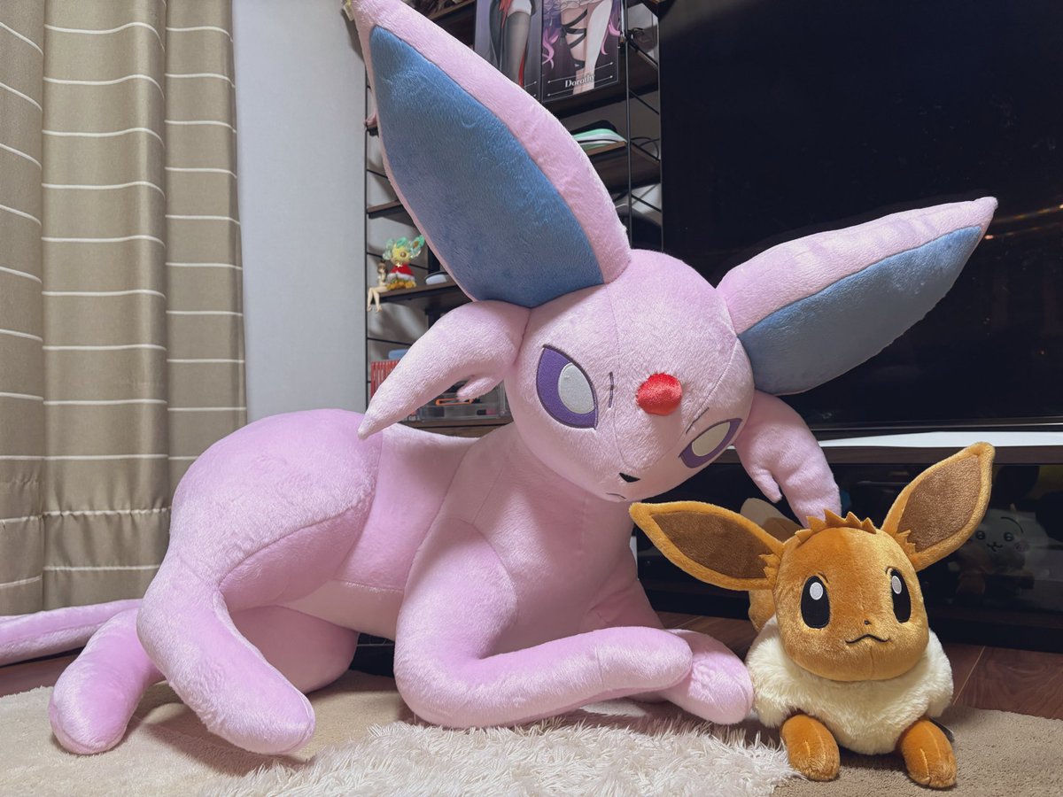 pokepoke_i_v's tweet photo. 等身大ｴｰﾌｨ届きました☺️
我が家にいらっしゃいませ🫧

家族がどんどん増えてってる感覚で、
嬉しいですね🥹✨

みんな可愛いよ〜💓 https://t.co/DhLZJKe7GV