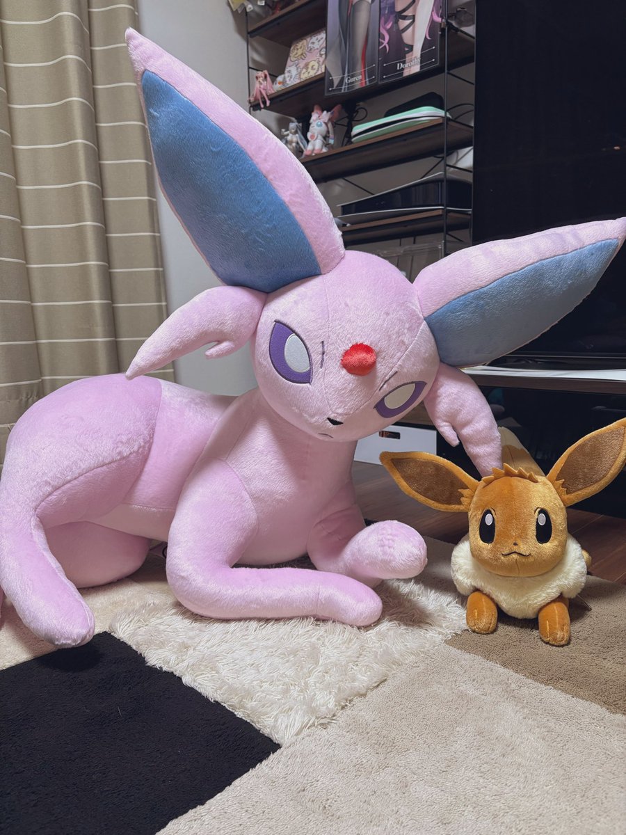 pokepoke_i_v's tweet photo. 等身大ｴｰﾌｨ届きました☺️
我が家にいらっしゃいませ🫧

家族がどんどん増えてってる感覚で、
嬉しいですね🥹✨

みんな可愛いよ〜💓 https://t.co/DhLZJKe7GV