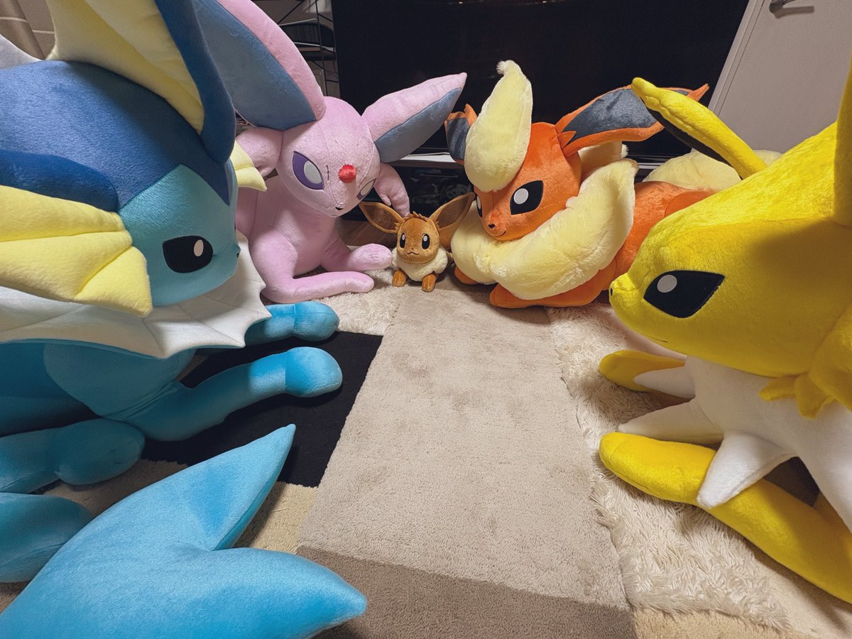 pokepoke_i_v's tweet photo. 等身大ｴｰﾌｨ届きました☺️
我が家にいらっしゃいませ🫧

家族がどんどん増えてってる感覚で、
嬉しいですね🥹✨

みんな可愛いよ〜💓 https://t.co/DhLZJKe7GV