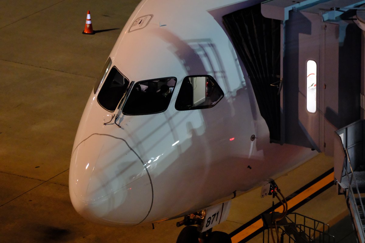 味噌_煮込み_Udon (@Misonikomi_GBCP) / Posts / X