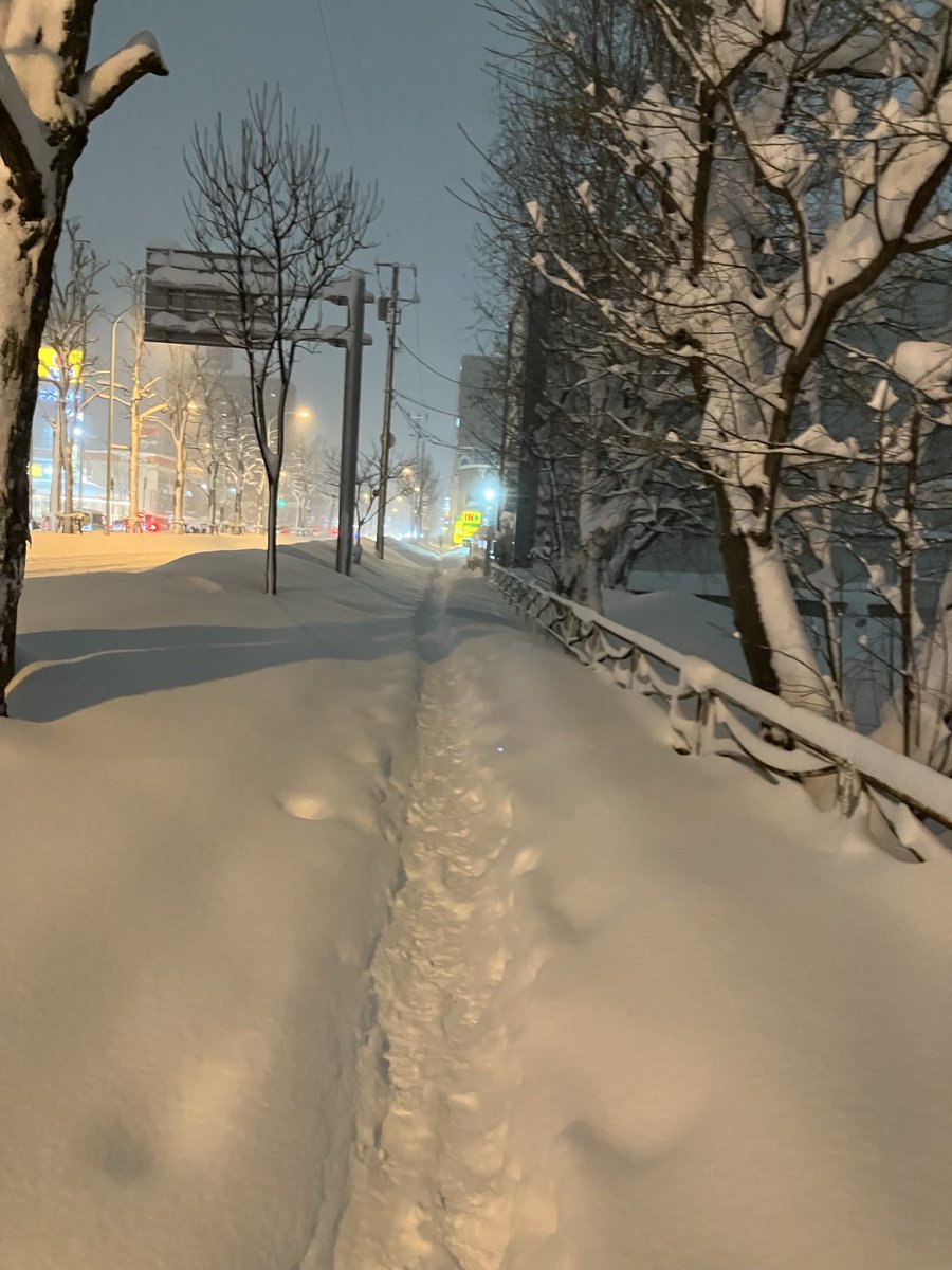 降ったぁ☃️☃️☃️
降り過ぎ💦

雪かきが待っている💨

先ずは短い足で
家まで辿りつけるのか🤣💧