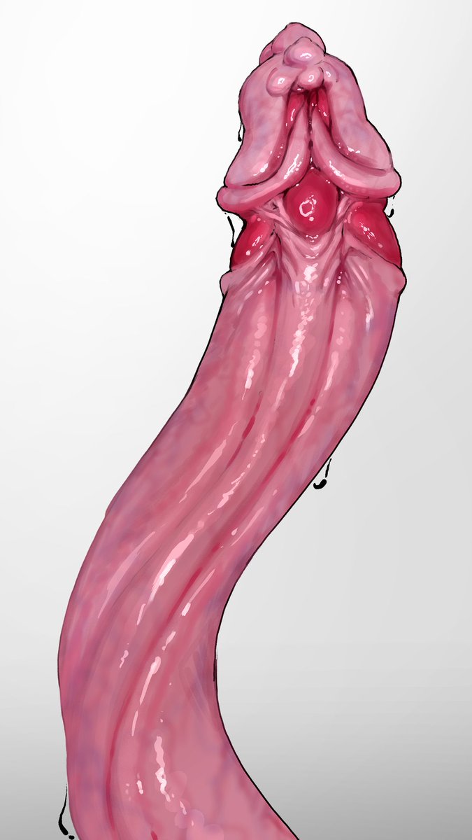 触手練習🪱
なんか質感のコツ掴んだかも💪🦑 