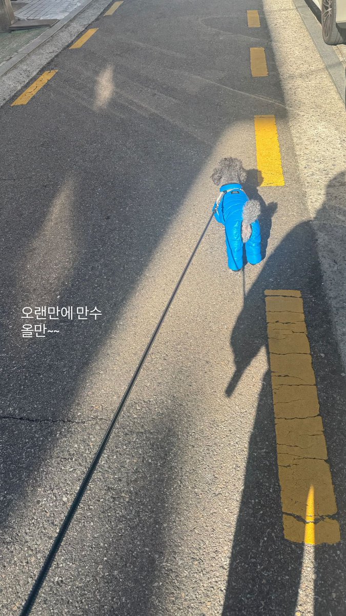 berrxh_'s tweet image. in_ddoni ins story 
ไม่เจอกันนานเลยนะ มันซู
ไม่เจอเลย~~