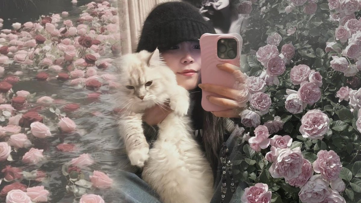 𝑛𝑦𝑎𝑟𝑖 ⑅* tweet media