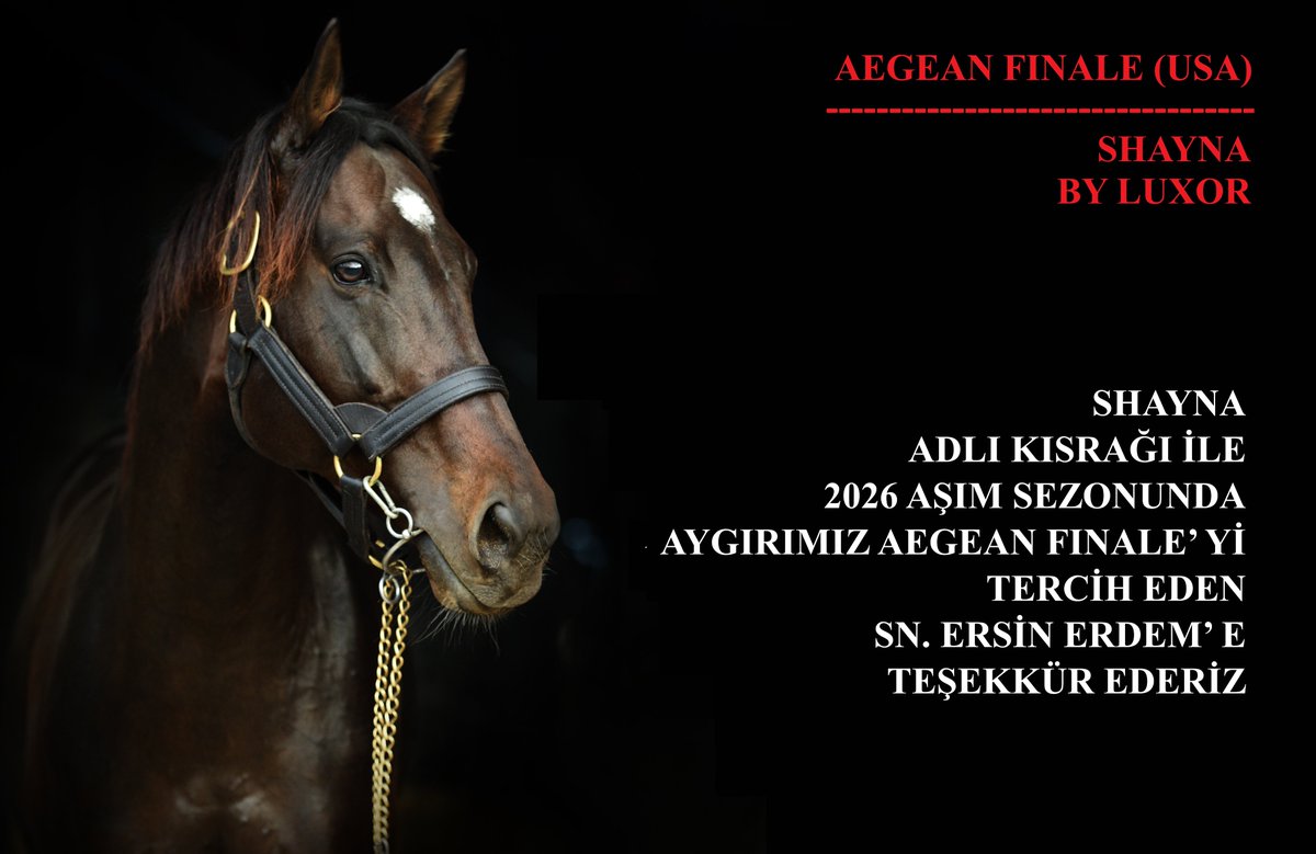 SHAYNA ADLI KISRAĞI İLE
2026 AŞIM SEZONUNDA
AYGIRIMIZ AEGEAN FINALE’ Yİ
TERCİH EDEN SN. ERSİN ERDEM’ E
TEŞEKKÜR EDERİZ
<a href="/ersinerdem01/">Ersin Erdem</a> <a href="/hakann_cakmakk/">Hakan Çakmak</a> <a href="/AegeanFinale/">Aegean Finale</a>