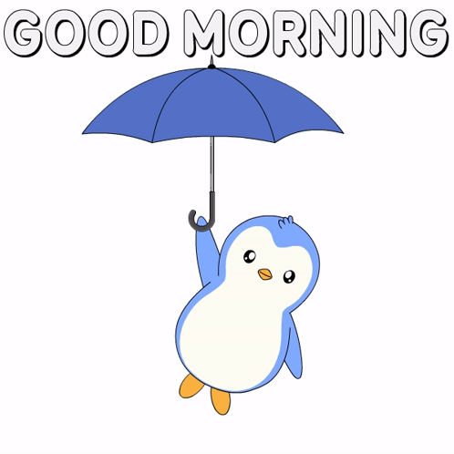 Sn0qu1n's tweet photo. GM to Everyone who sees this https://t.co/JjrC2W2cwP