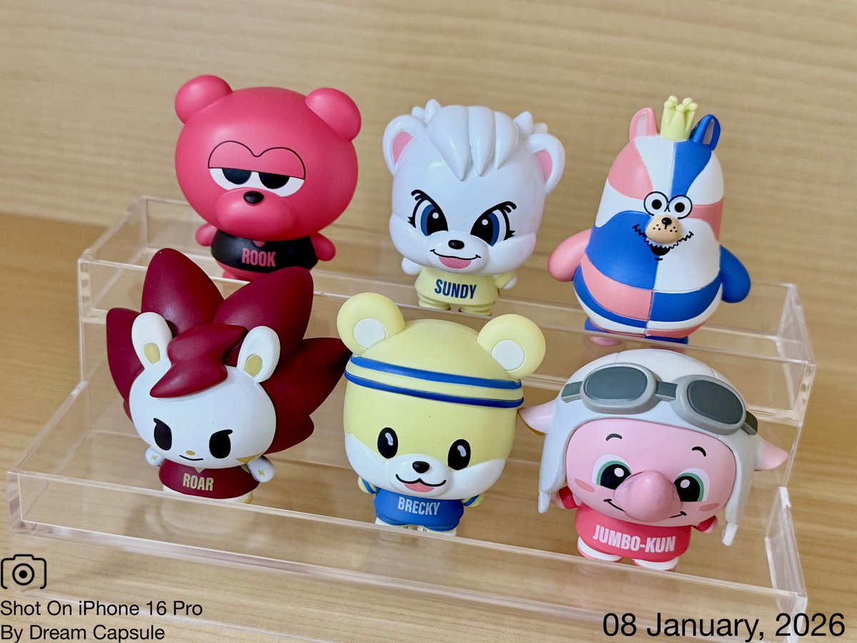 しぇいこん (@jyugonwife) / Posts / X