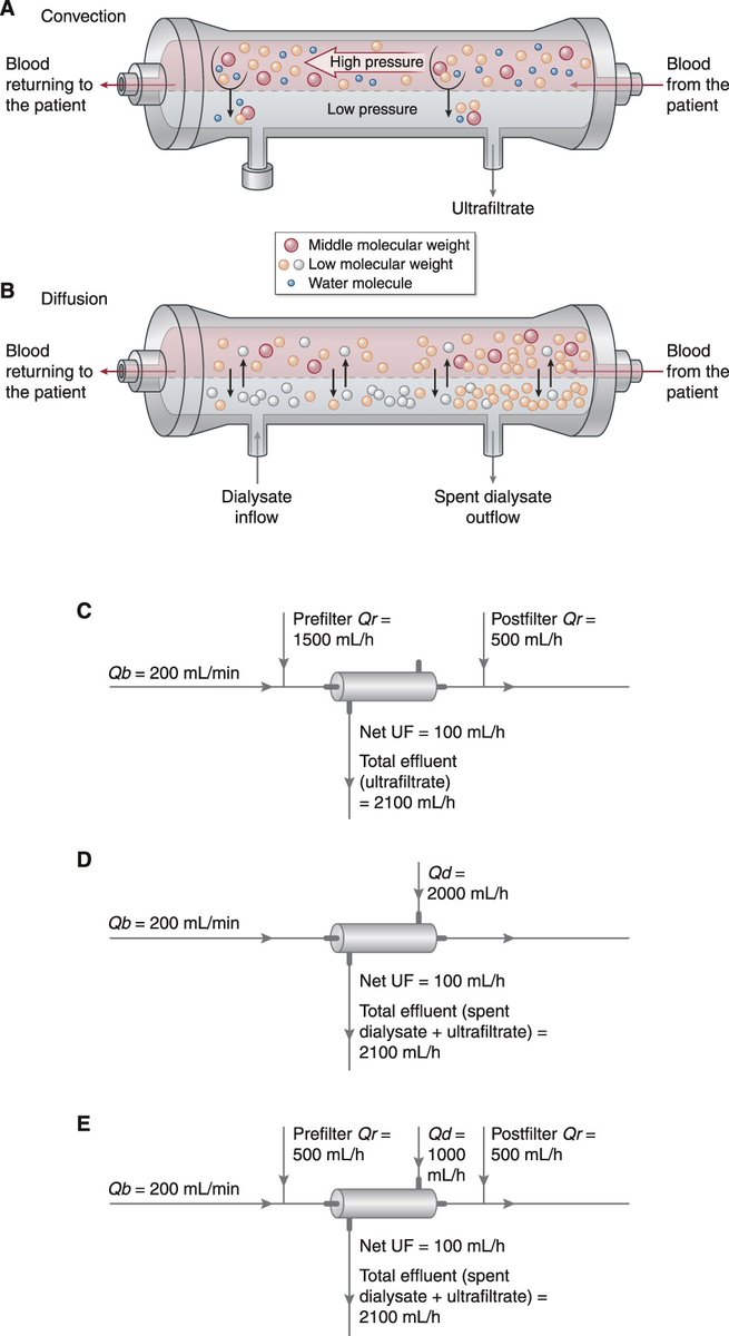 CritCareReviews's tweet image. Today's Paper of the Day is:

Continuous KRT: A Contemporary Review

criticalcarereviews.com/latest-evidenc…

Join us to read 1 paper per day and stay up-to-date as we cover the spectrum of critical care across 2026