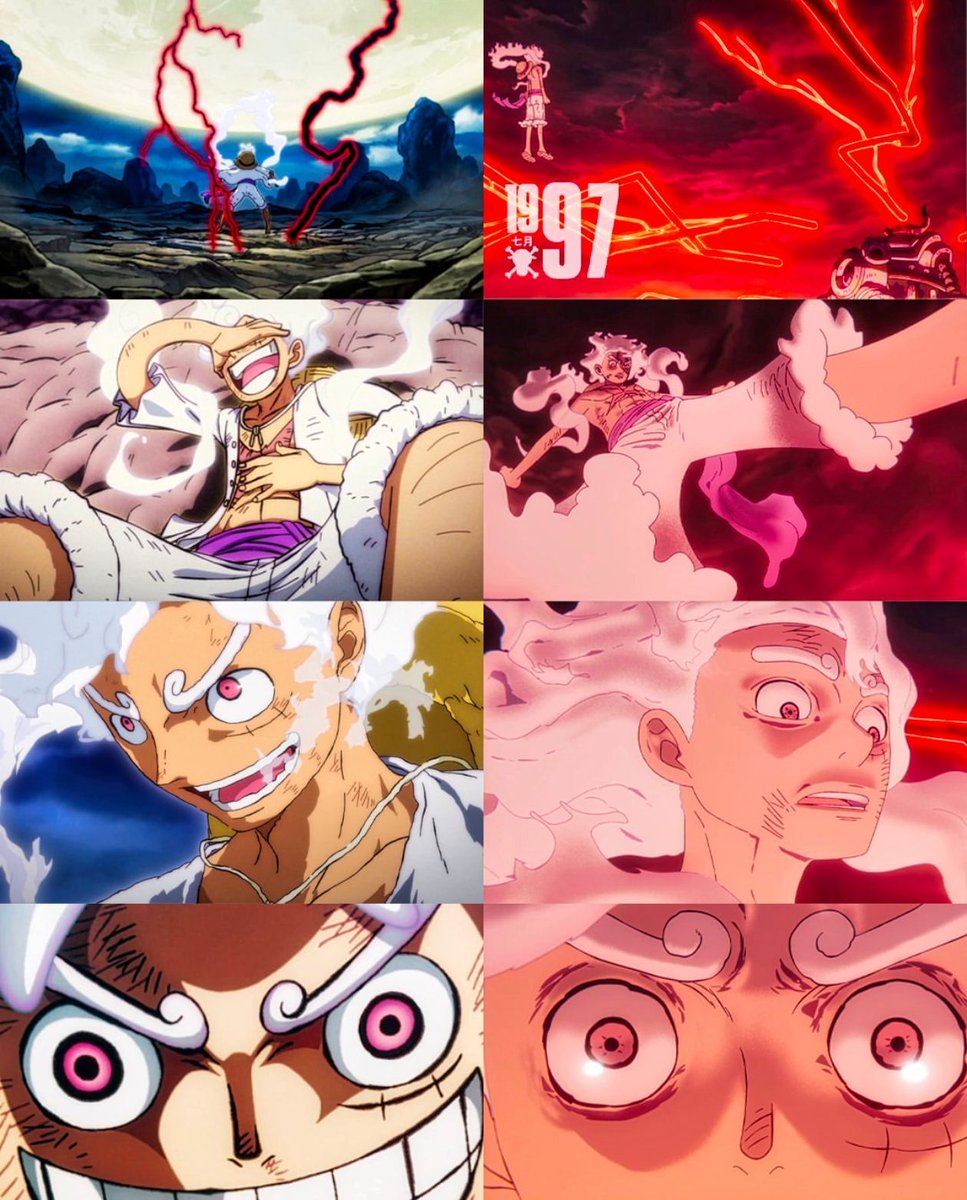 One Piece Daily tweet media