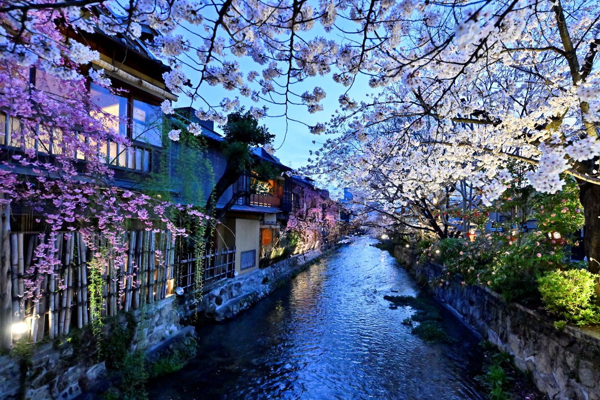 「京都で建築をする」というのは、日本で一番不自由な仕事です。

景観を守るための条例、規制、ルールの嵐。 でも、だからこそ燃える。

伝統的建造物群保存地区の古民家改修。

外観は一切変えられない。ならば、内側から外の景色をどう切り取るか。