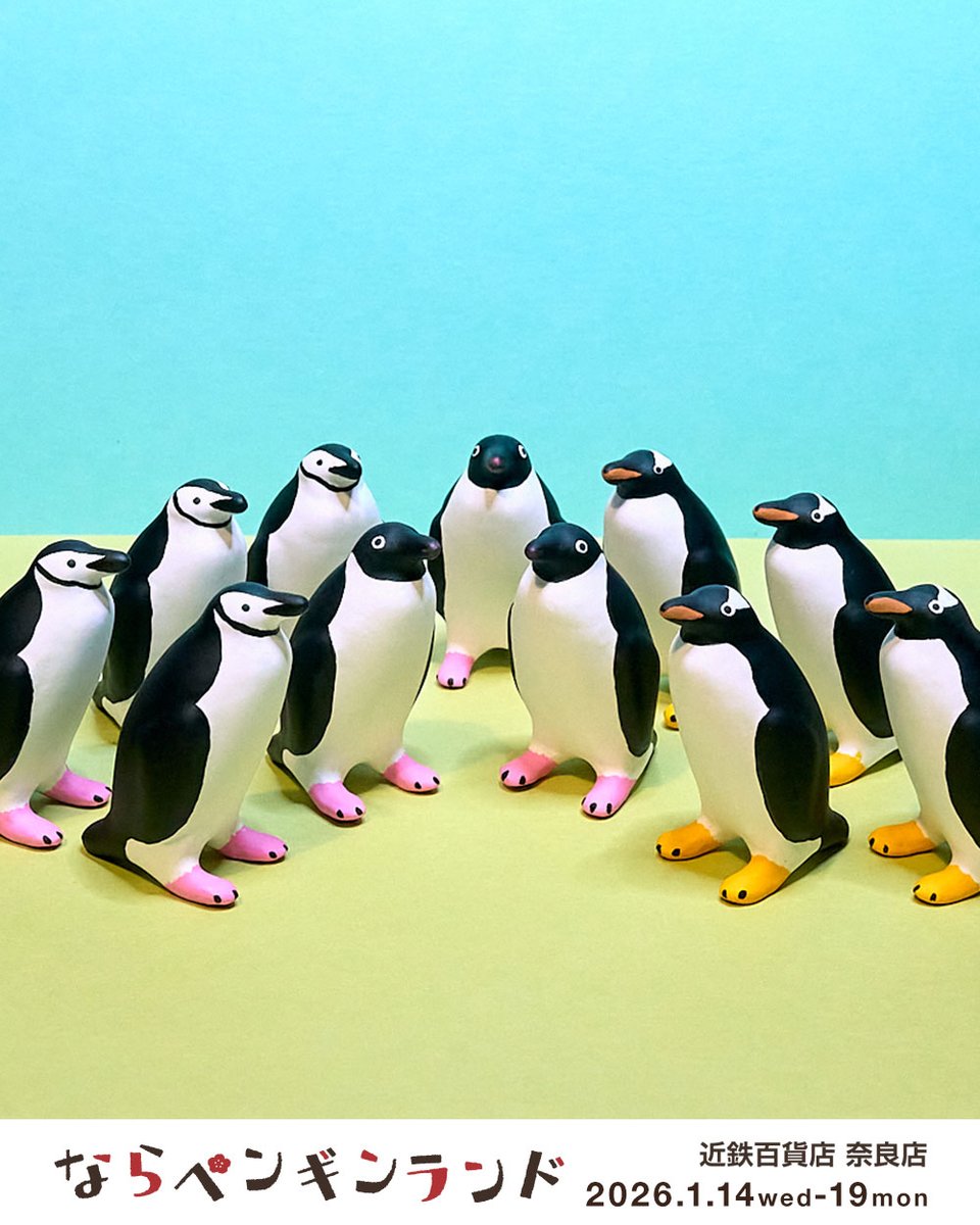 ならペンギンランド 2026 出品者紹介 ♢ こびとぺんぎん 様 ♢ 昨秋の