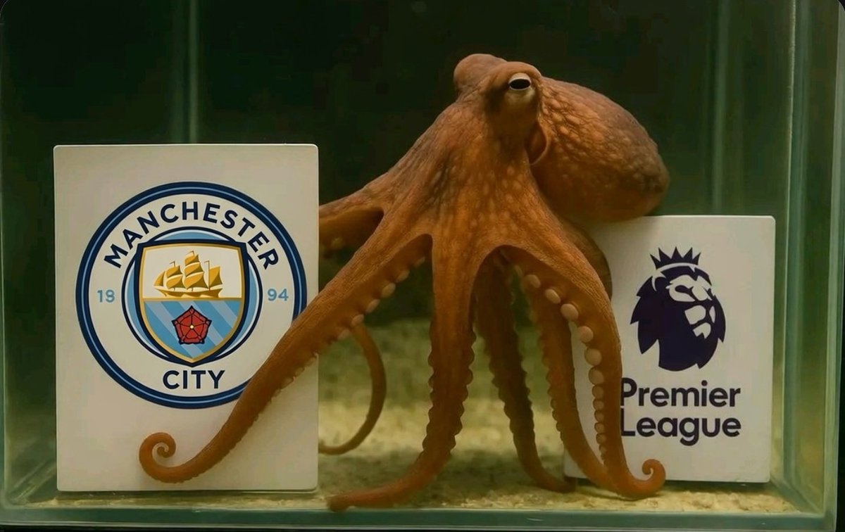 TheEuropeanLad tweet media