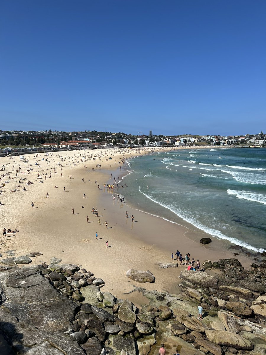 Ed Handford tweet media