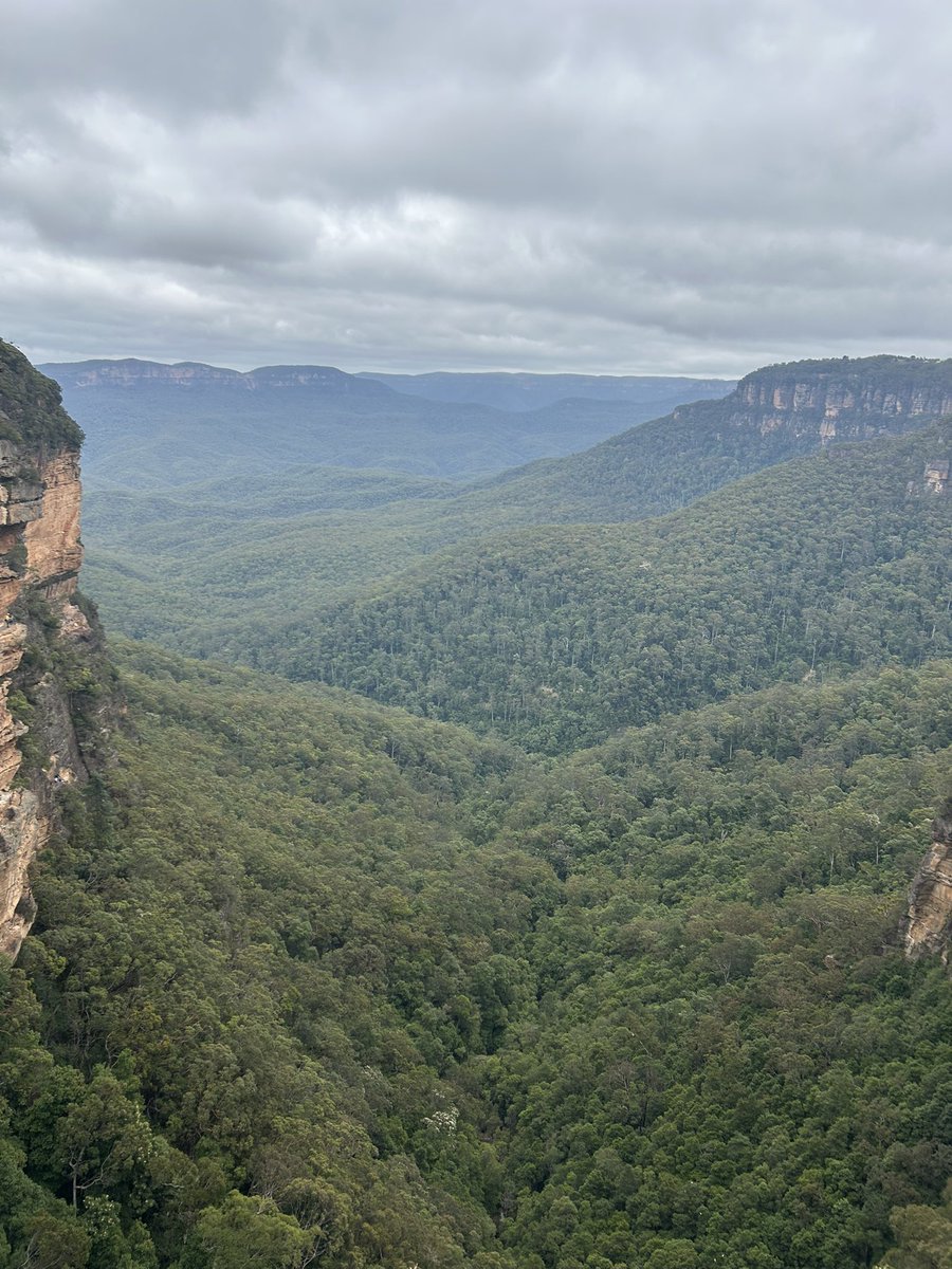 Ed Handford tweet media