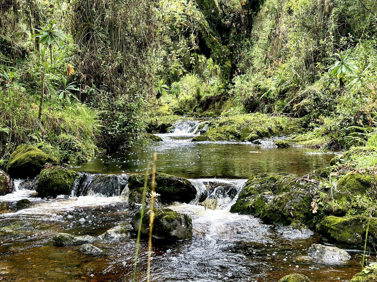 Sol_Solange tweet media