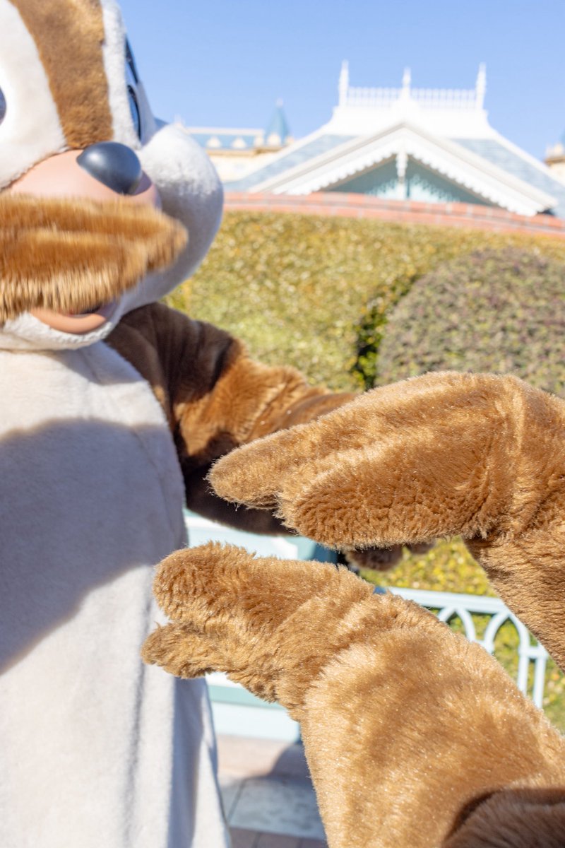 ©️🐿 tweet media