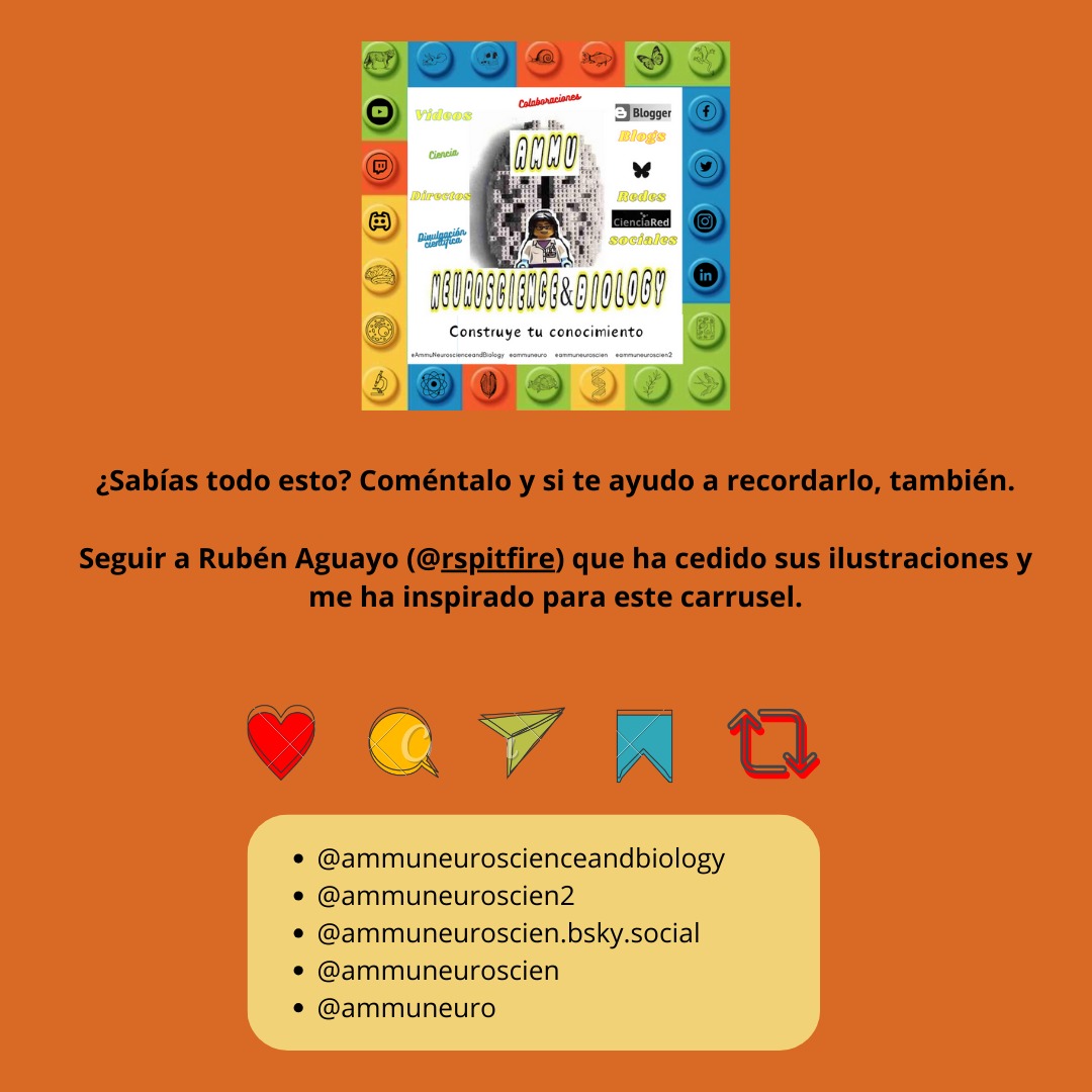 Ammu Neuroscience🧠&Biology👩‍🔬DivulciCup21🏆 tweet media
