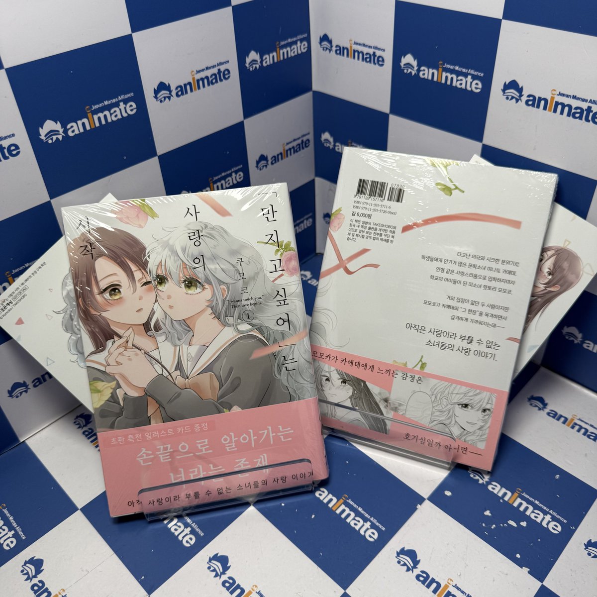 animate 서울홍대점 tweet media