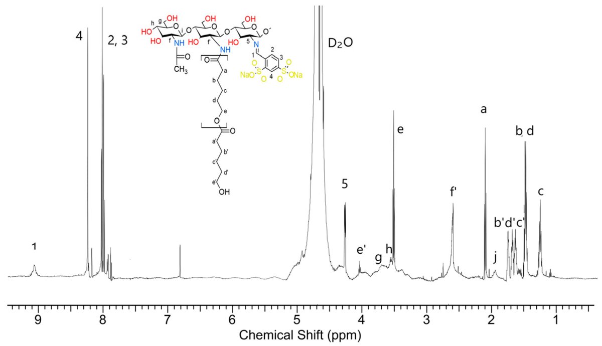 IJMS_MDPI's tweet photo. 💡Check out our interesting articles related to the Hot Topics "Biomedical #Hydrogels"
📕Bactericidal #Chitosan Derivatives and Their Superabsorbent Blends with ĸ-Carrageenan
🧑🔬by Kamila Lewicka, et al
🔗https://t.co/XdY6wFdITg
#OpenAccess #MDPIIJMS #HotTopics #Polymer https://t.co/glnexLzzY6