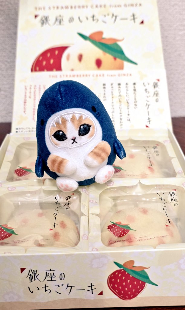 のぶちゃん (@Zxn9LICKUfwObuY) / Posts / X