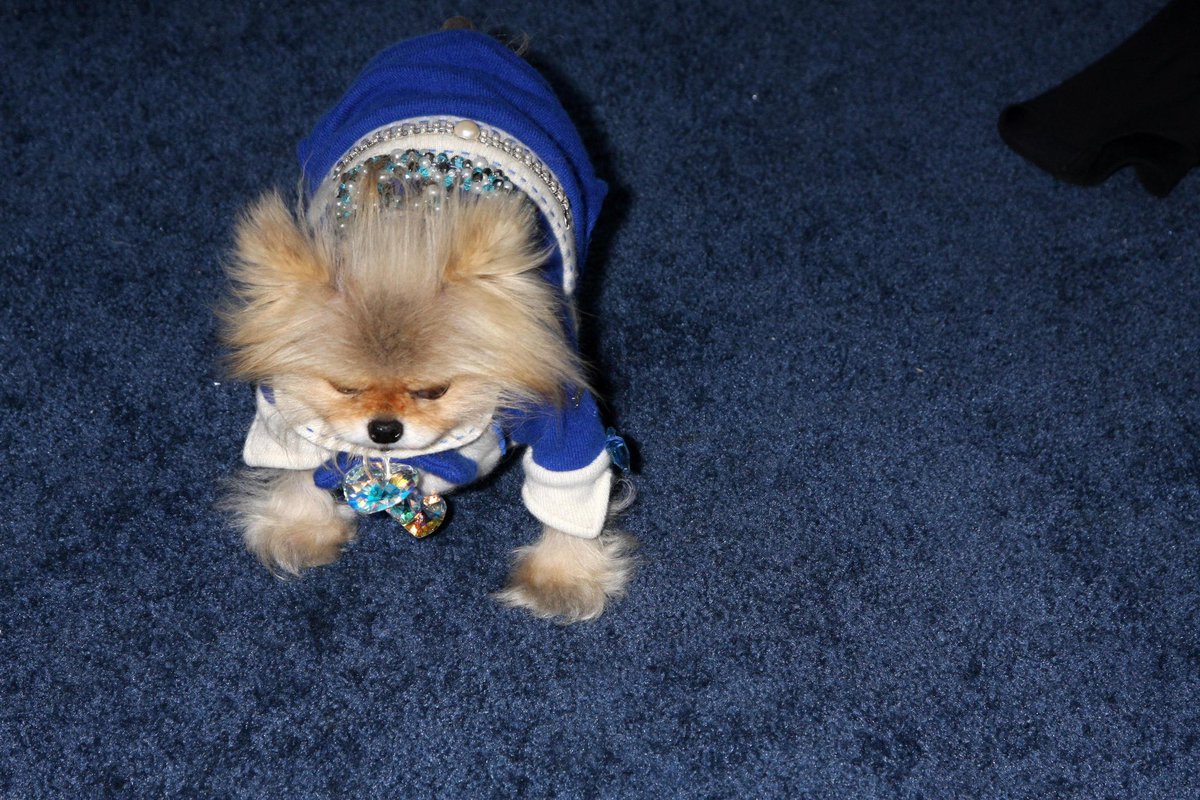 defendjennifer's tweet photo. This paparazzi photo of Giggy 😭😭😭 https://t.co/5M4eHXQvRj