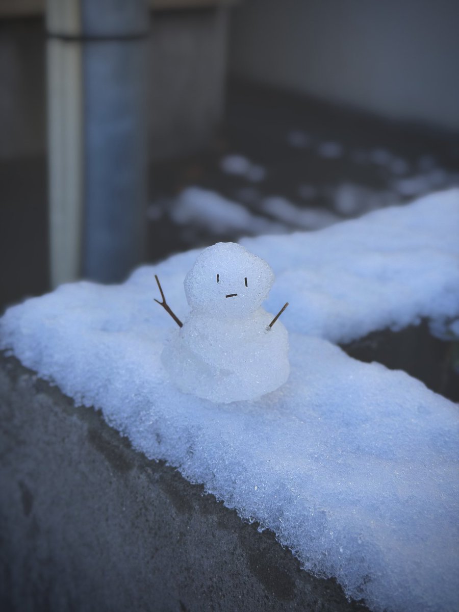 Post by 宮川大聖 / みやかわくん on X: ⛄️❄️