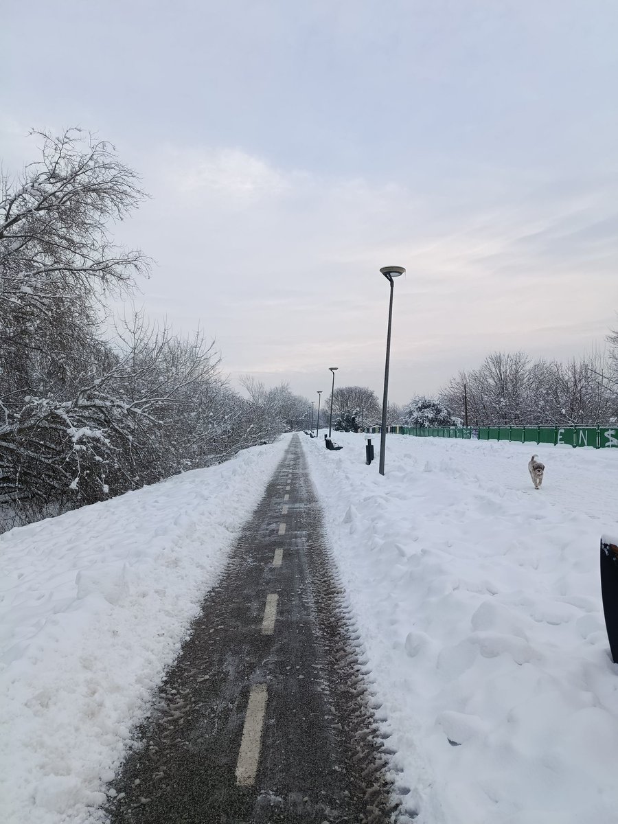 Biljana Kovačević tweet media