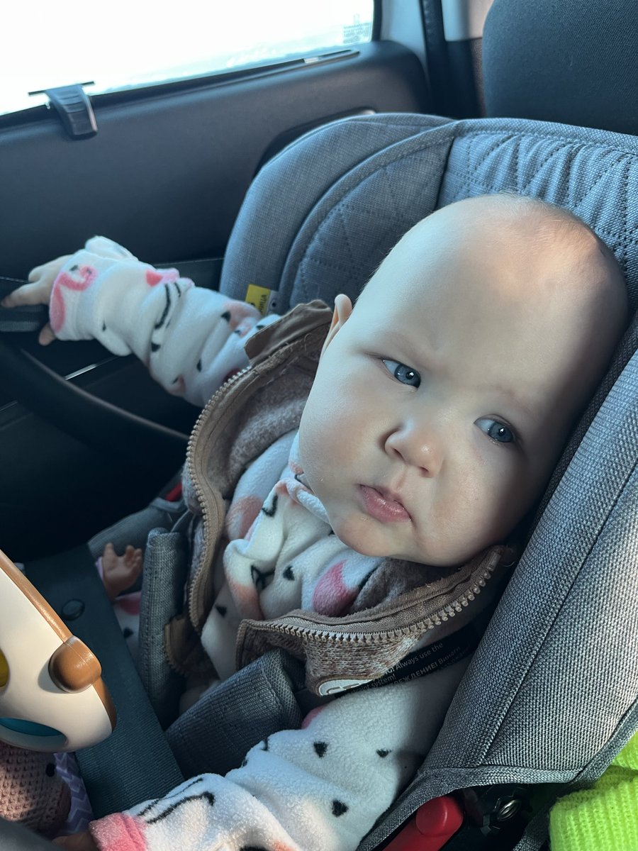 шеф хрюшечек накрути