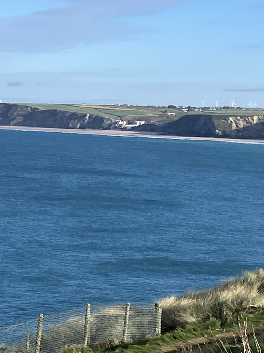 Eclectikmix tweet media