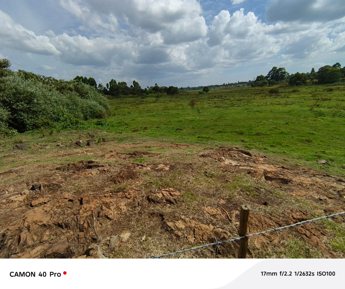 David Busienei tweet media