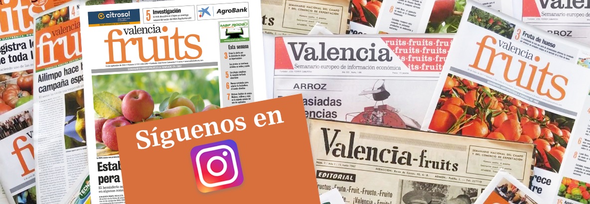 Valencia Fruits tweet media