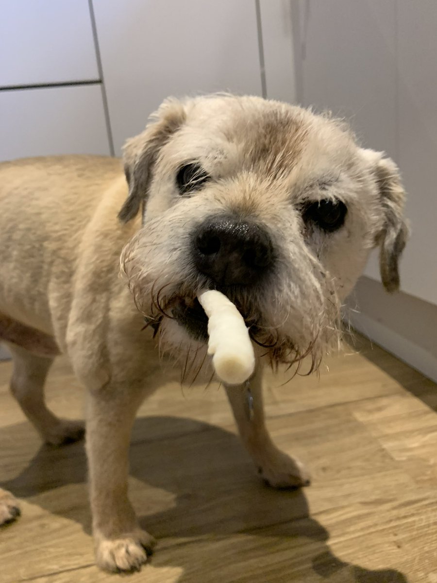 Hamish’s Lynne tweet media