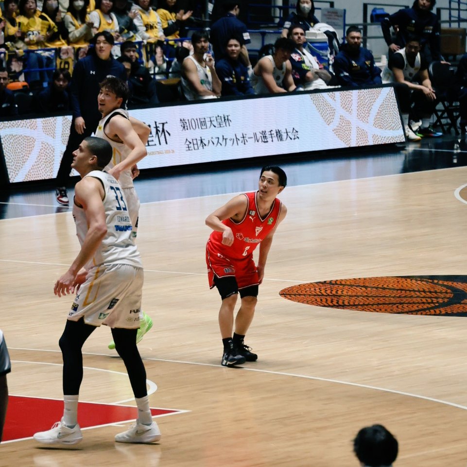 とがぴがとがぴしてるわぁ。