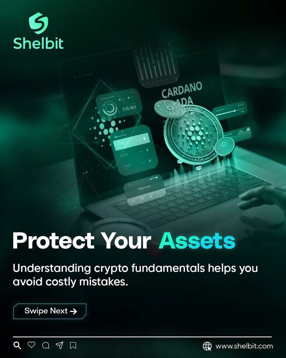 Shelbit tweet media